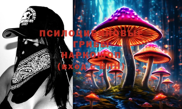 синтетический гашиш Алексеевка