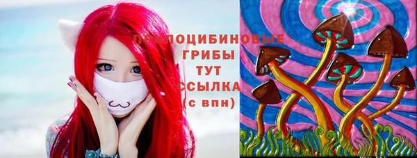 синтетический гашиш Алексеевка