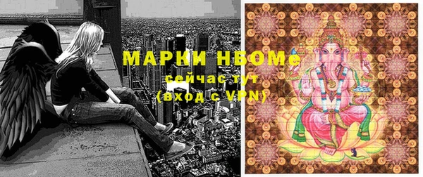 индика Армянск